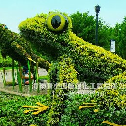 青蛙五色草立体花坛造型