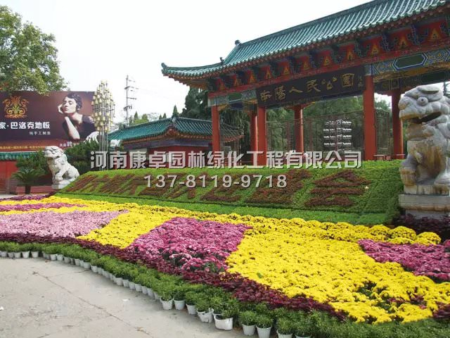 五色草造型,制作与养护