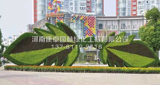 五色草造型,制作与养护