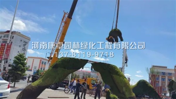 鄂温克旗五色草造型雕塑，精彩继续