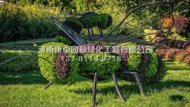 绿色奇异世界来袭,立体花坛造型