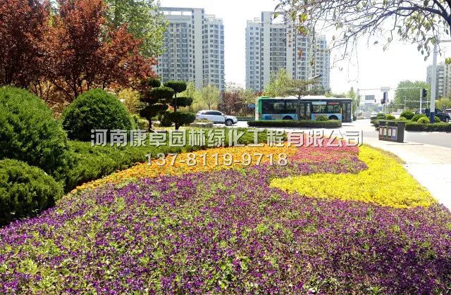 立体花坛在胶州的美