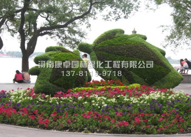 哈尔滨五色草造型