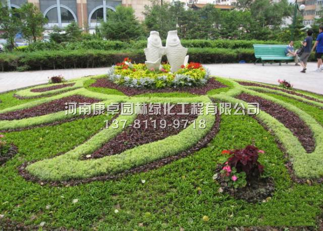 哈尔滨五色草造型