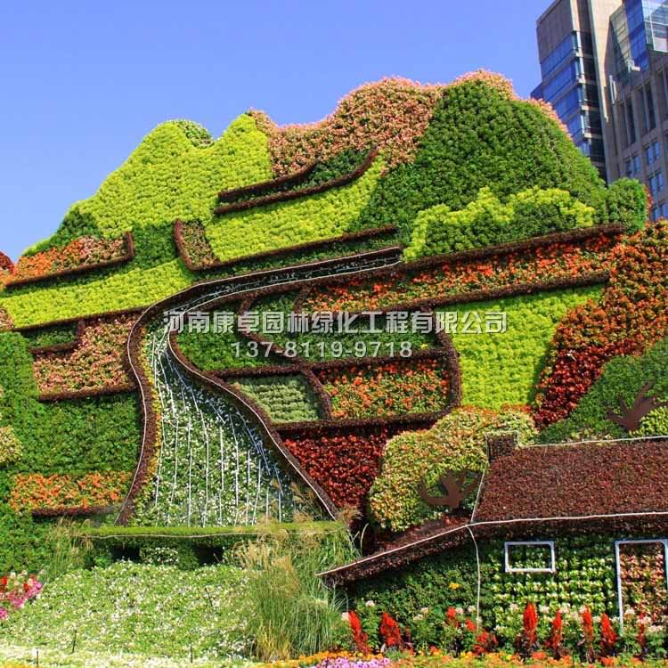 科普知识立体花坛之五色草