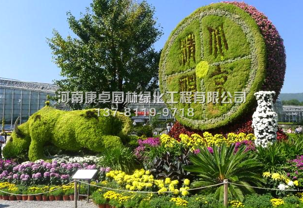 五色草造型之五色草的养