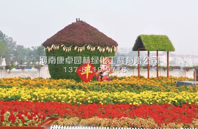 五色草造型之五色草的养
