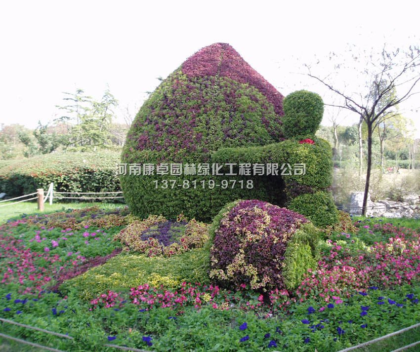 五色草造型的欣赏价值