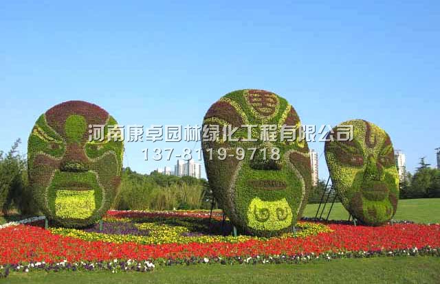 五色草造型之如何让五色草长的更好
