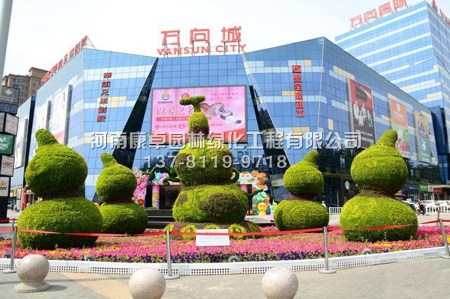 五色草造型制作时应选取什么样的植物