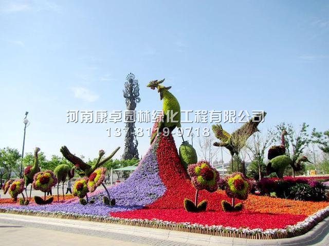 五色草造型制作时应选取什么样的植物