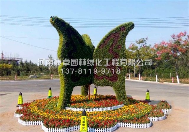 几种五色草造型的做法