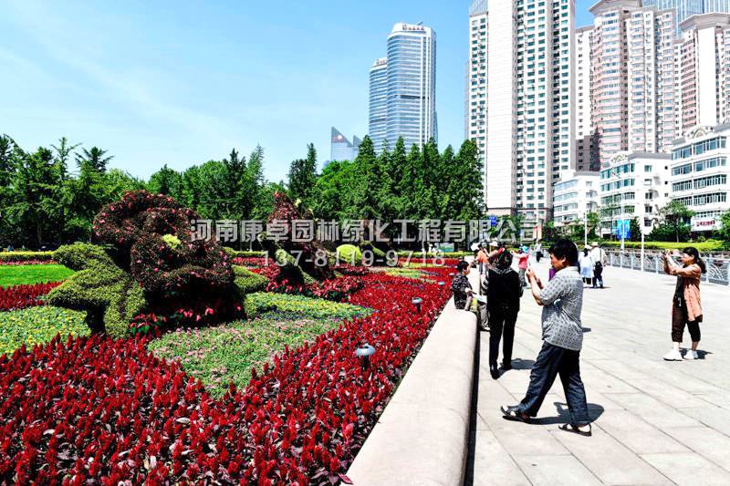 立体花坛扮靓青岛，迎接上合峰会