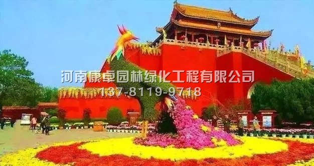 立体花坛凤凰