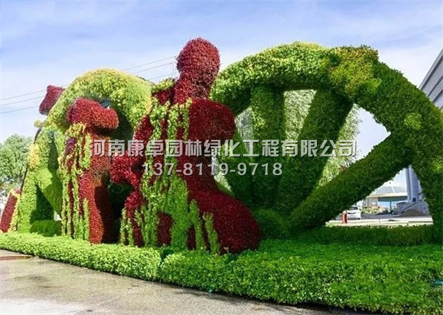 肃北立体花坛复种工程，植物绿雕满血复活中