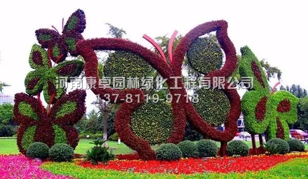 河南五色草造型种苗设计要求