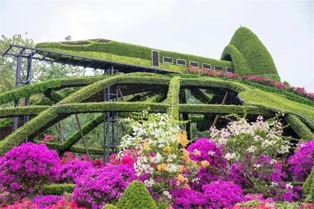 植物绿雕造景 呈现“丝绸之路”“一带一路”美好愿景