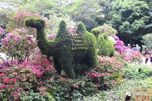 植物绿雕造景 呈现“丝绸之路”“一带一路”美好愿景