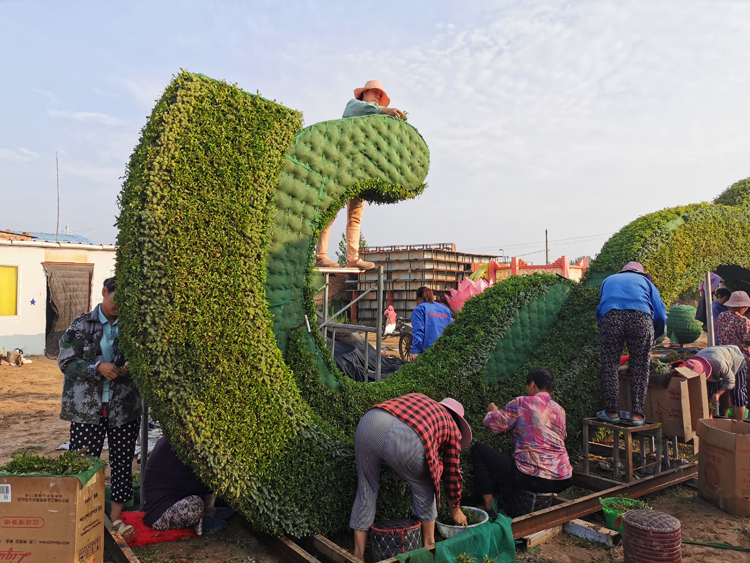 五色草造型,立体花坛,绿雕